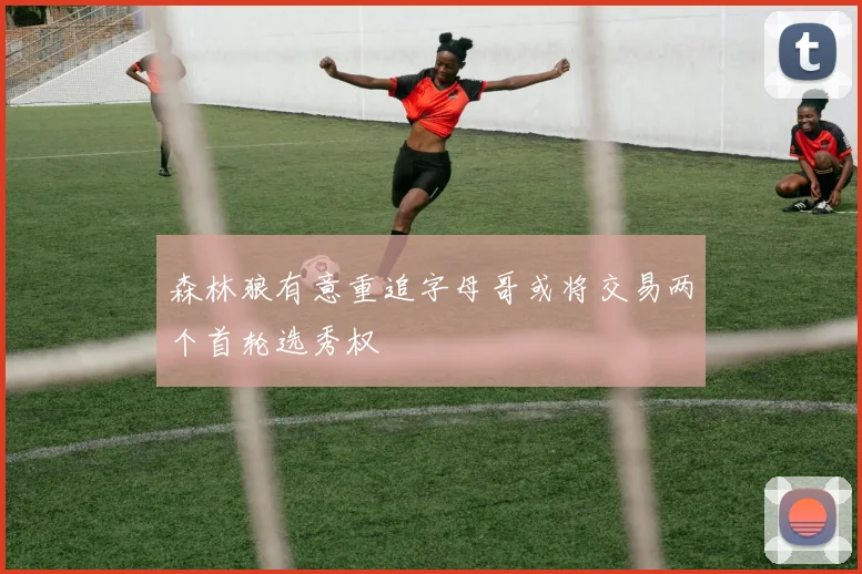 森林狼有意重追字母哥或将交易两个首轮选秀权