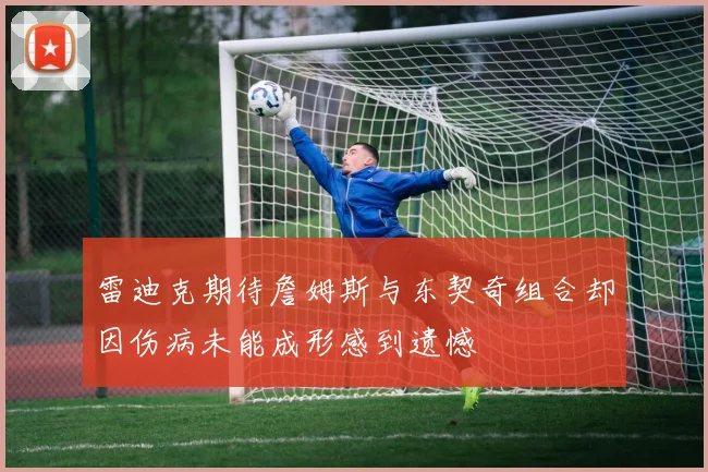 雷迪克期待詹姆斯与东契奇组合却因伤病未能成形感到遗憾